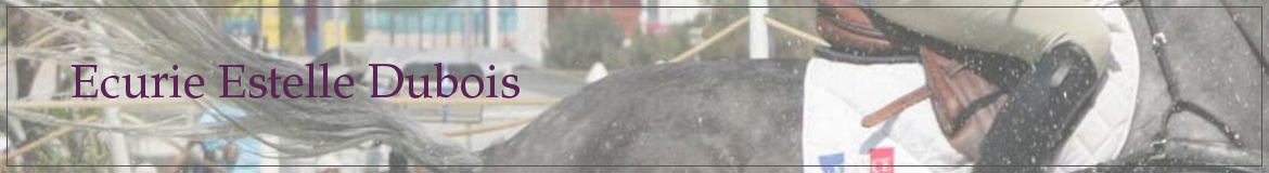 Ecurie Estelle Dubois